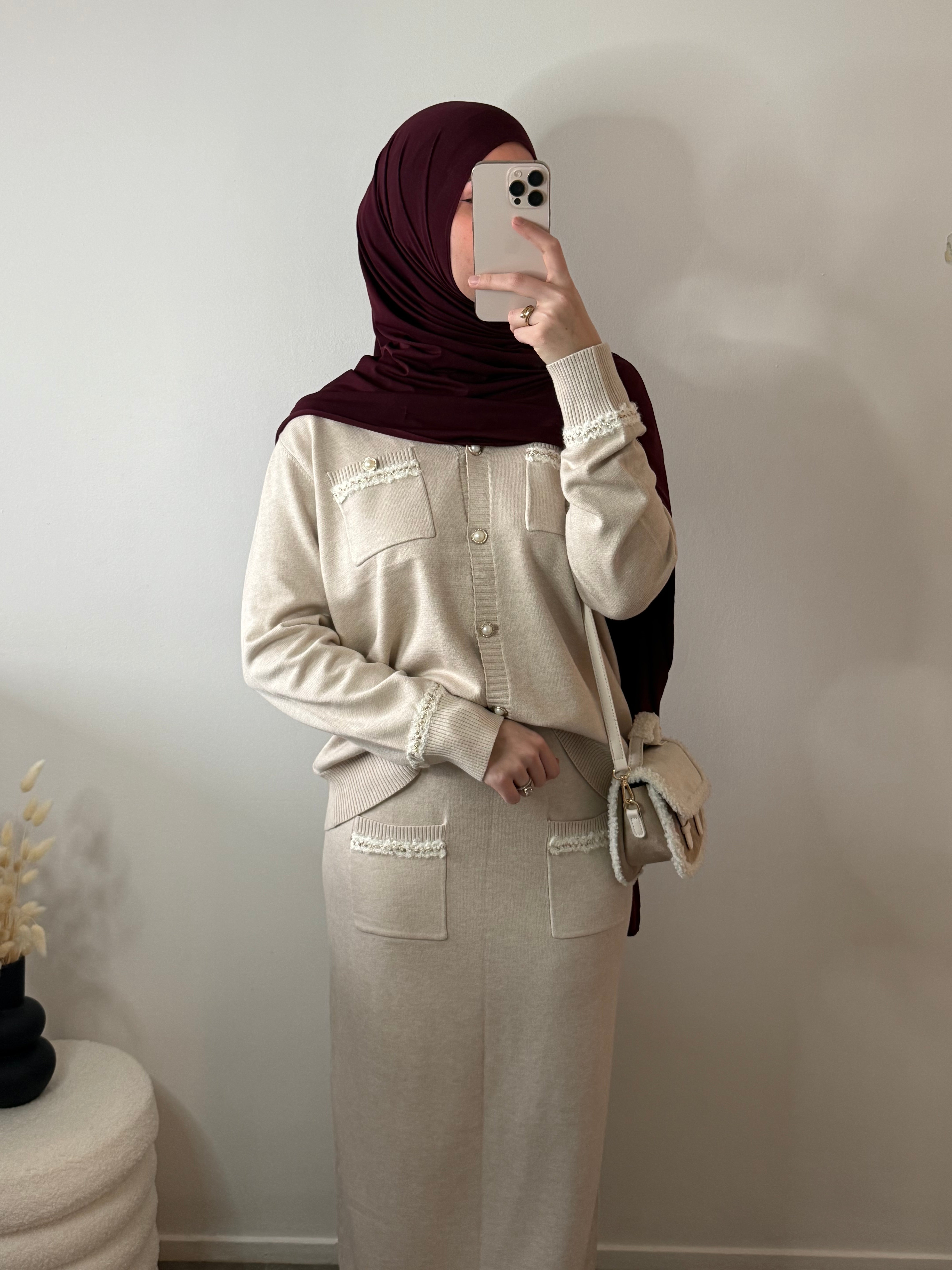Ensemble ADRIA