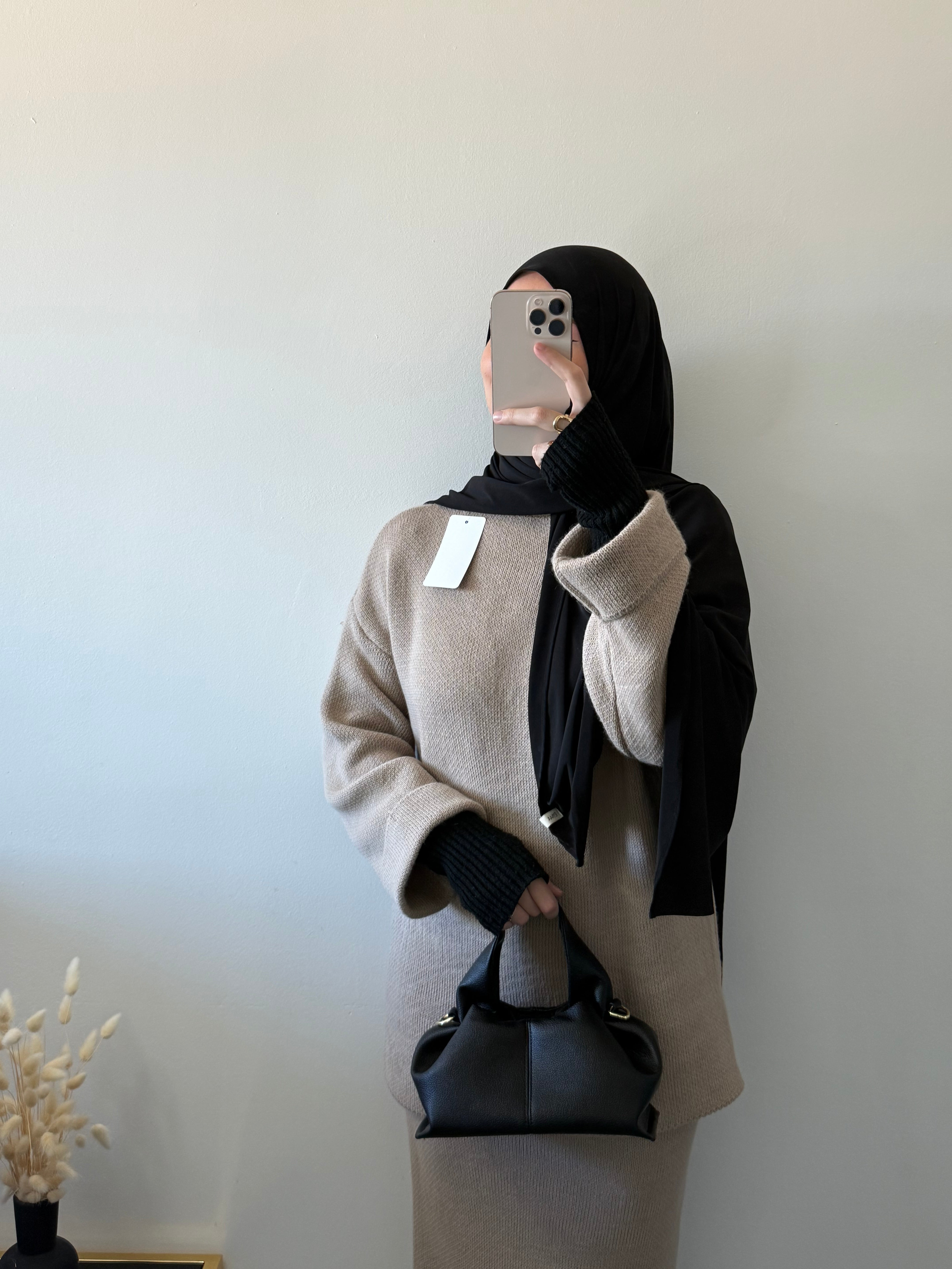 Ensemble NAMIA