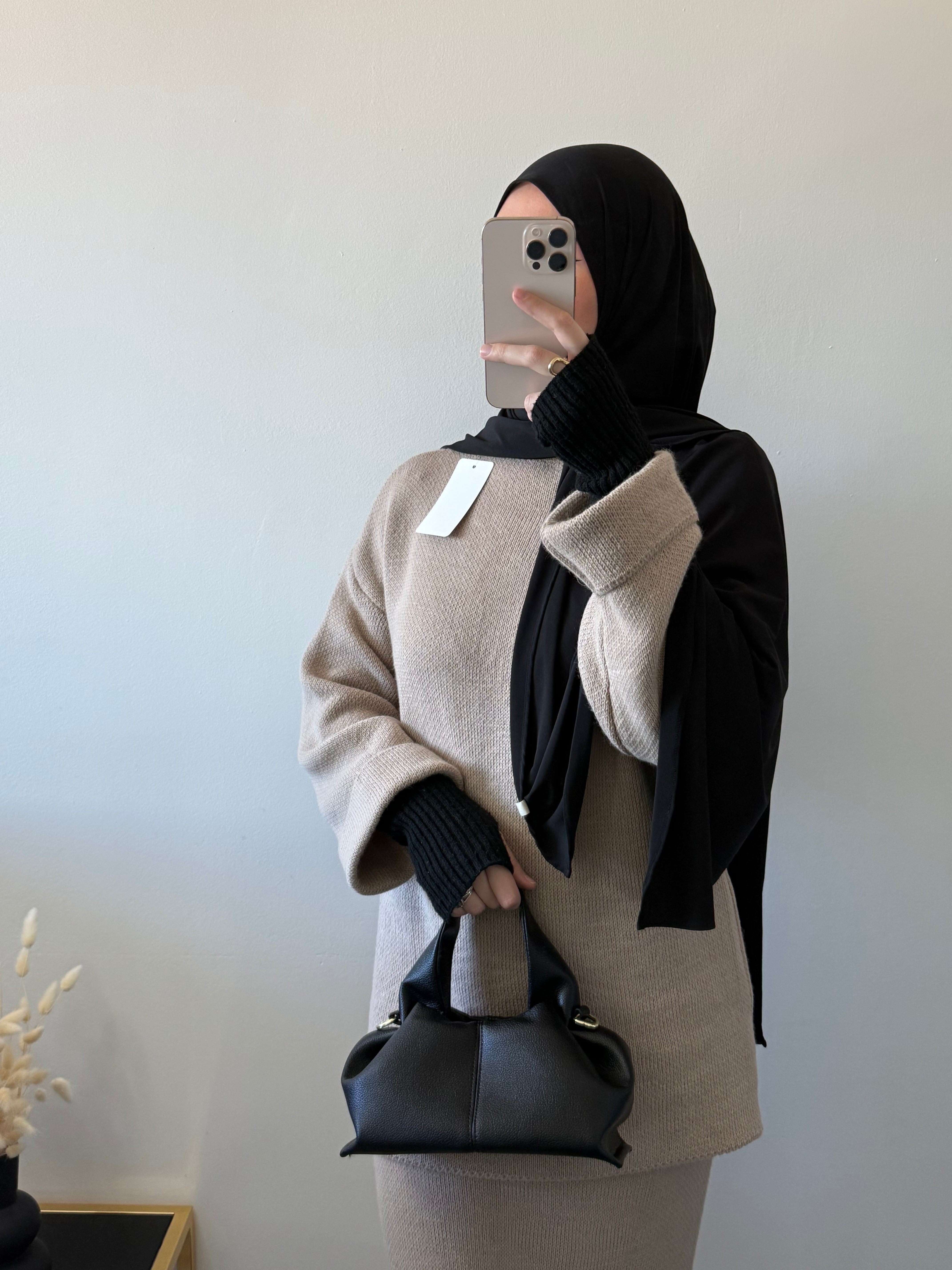 Ensemble NAMIA